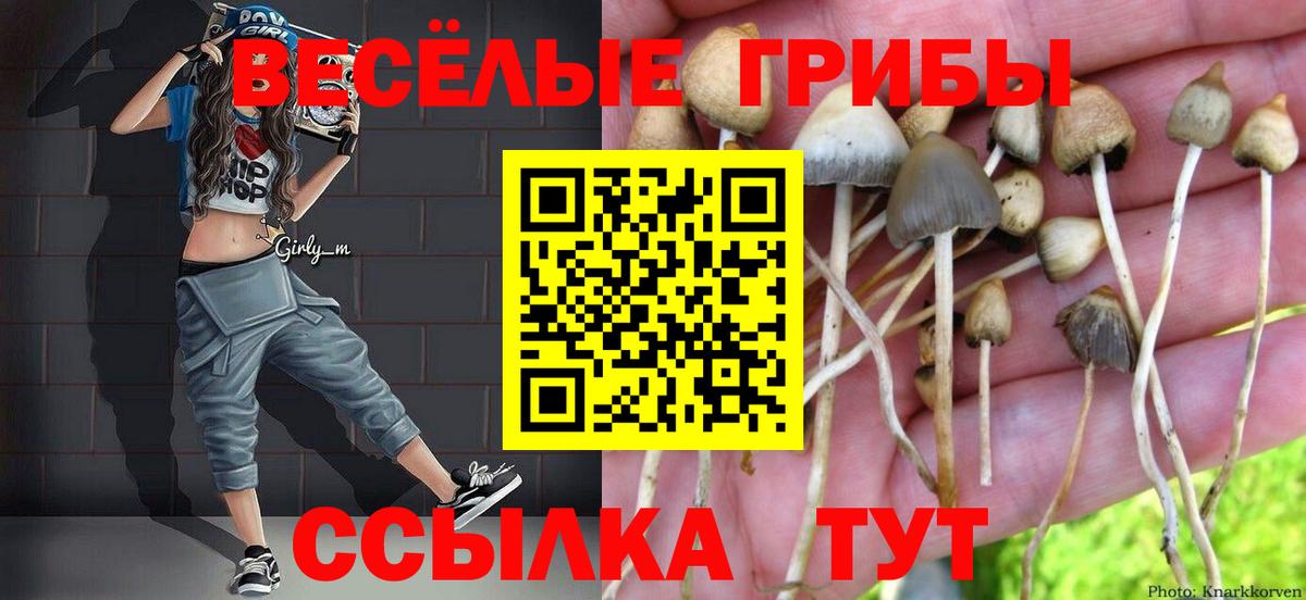 Псилоцибиновые грибы GOLDEN TEACHER Артёмовский