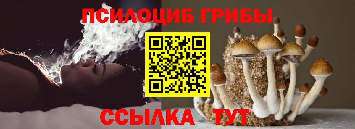 Артёмовский  Псилоцибиновые грибы ЛСД  Вход с VPN  Галлюциногенные грибы мицелий 