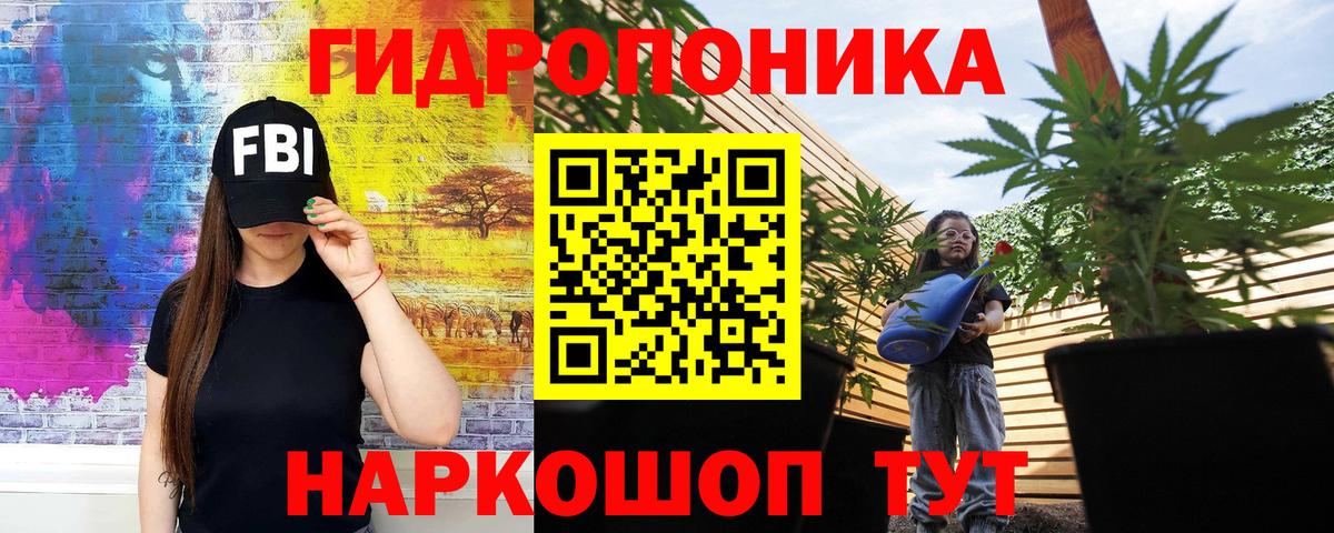 МАРИХУАНА семена  Артёмовский  Шишки марихуана THC 21% 